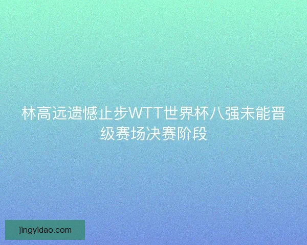 林高远遗憾止步WTT世界杯八强未能晋级赛场决赛阶段