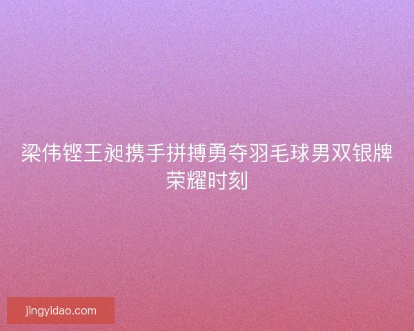 梁伟铿王昶携手拼搏勇夺羽毛球男双银牌荣耀时刻
